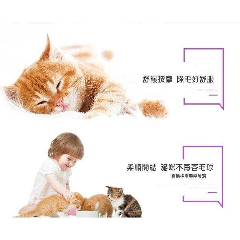 C006  寵物貓狗除毛梳-細節圖3