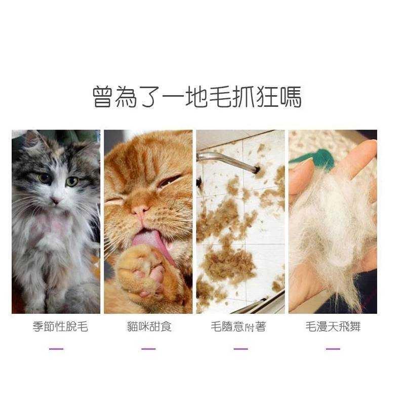 C006  寵物貓狗除毛梳-細節圖5