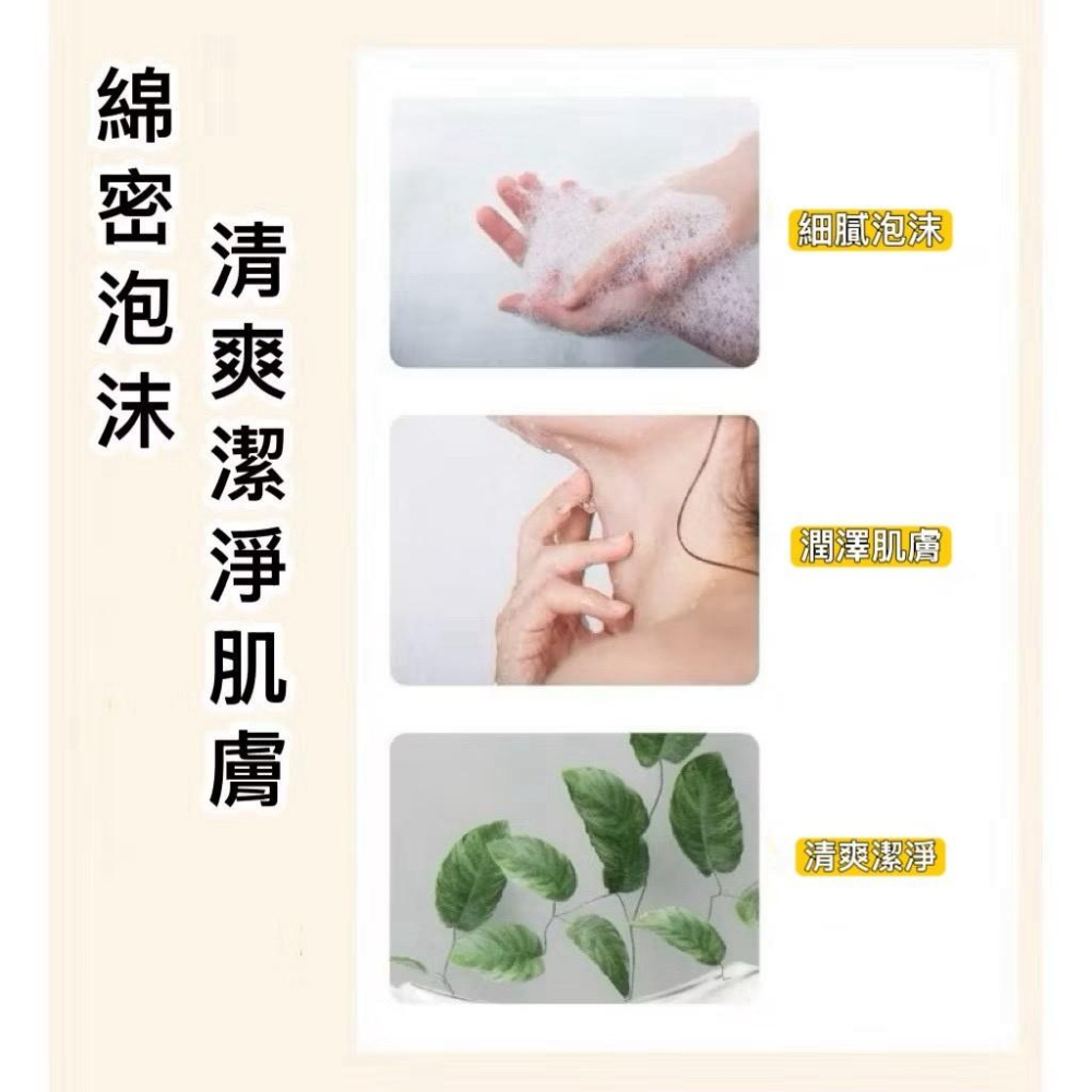A359 【安德森 保羅】第二代 極淨皂*2組】-細節圖4