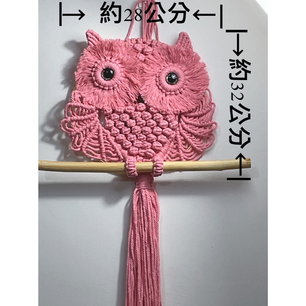 ＊＊手工編織貓頭鷹掛飾＊＊吊飾、門飾、牆飾-細節圖3