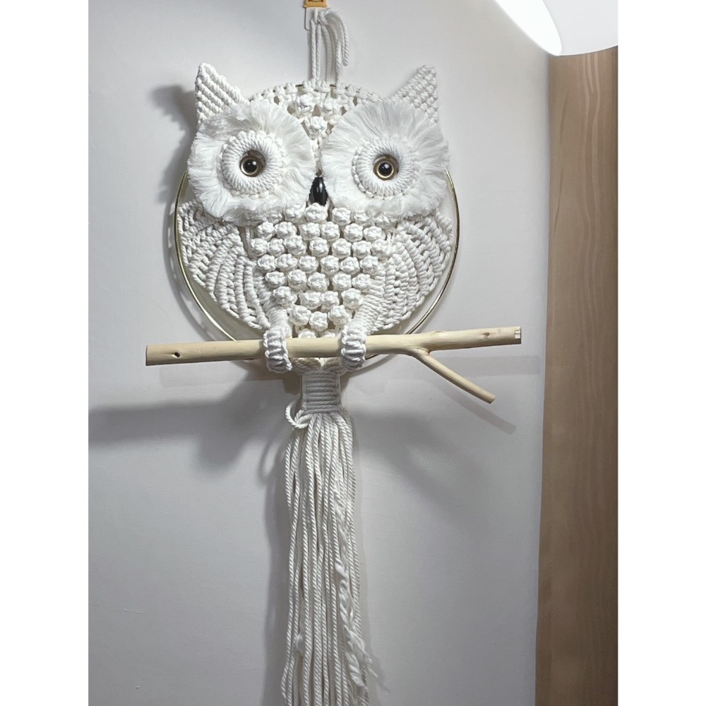 ＊＊手工編織貓頭鷹掛飾＊＊吊飾、門飾、牆飾-細節圖5