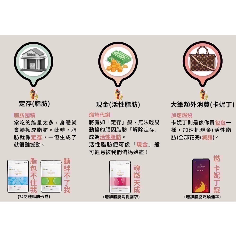 【纖女四寶十全十美優惠】Gelovery 脂包不住我+醣絆不了我+魂燃天成+卡妮丁錠各1-細節圖2