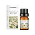 洋甘菊(chamomile)