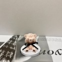 粉色泰迪熊 (含底座)