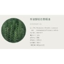 【有禮無理】法國Astier Demarest 100%純天然植物萃取精油 身體精油 擴香石精油 香氛機 加濕機送禮首選-規格圖6