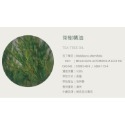 【有禮無理】法國Astier Demarest 100%純天然植物萃取精油 身體精油 擴香石精油 香氛機 加濕機送禮首選-規格圖6