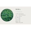 【有禮無理】法國Astier Demarest 100%純天然植物萃取精油 身體精油 擴香石精油 香氛機 加濕機送禮首選-規格圖6