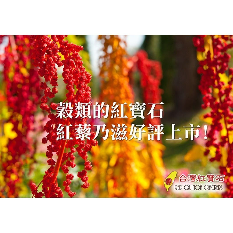 台灣紅寶石-紅藜乃滋福氣袋乃滋單包裝好攜帶分享好友爬山露營小點心-細節圖3