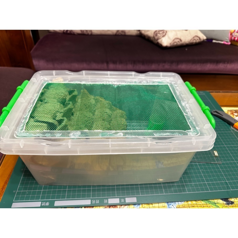 @呂氏不爽餌兒爸@杜比亞飼養箱-規格圖1