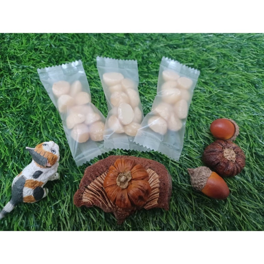 掌櫃食堂_夏威夷果 10公克裝 【桃園嚴選】-細節圖2