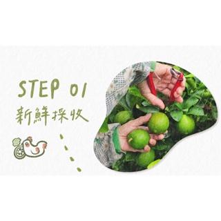 葳葳生活選物 老菸樓檸檬咖啡•在地小農咖啡 。咖啡豆 淺焙 濾掛咖啡 天然無毒 在地小農 檸檬清香 茶香 柑橘-細節圖6