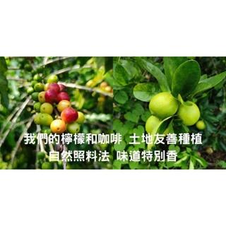 葳葳生活選物 老菸樓檸檬咖啡•在地小農咖啡 。咖啡豆 淺焙 濾掛咖啡 天然無毒 在地小農 檸檬清香 茶香 柑橘-細節圖8