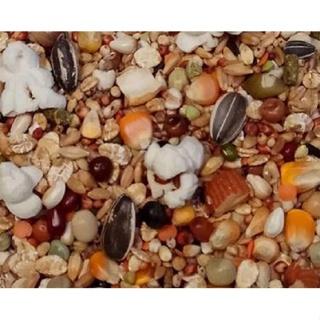 寶麟 寵物 鼠的補給站 600g 寵物鼠飼料 倉鼠飼料 鼠鼠主食 寵物飼料 台灣製造-細節圖2