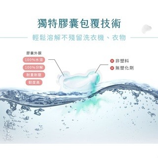 清淨海 純淨泰迪 植萃酵素 洗衣膠囊 綠薔薇  小蒼蘭  晨露香  爽身粉香(5gx30顆/袋) 天然酵素 固色防汙-細節圖5