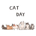 CAT DAY