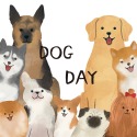 DOG DAY