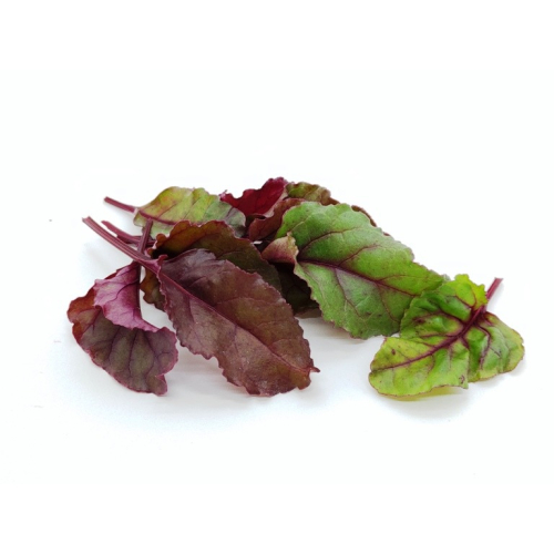 Baby Leaf嫩葉生菜種子-綜合甜菜葉~~輕鬆入門，室內種菜，家裡也能是植物工廠