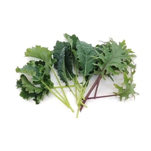 Baby Leaf嫩葉生菜種子-綜合羽衣甘藍~輕鬆入門，室內種菜，家裡也能是植物工廠，超級營養蔬菜，可製作精力湯與綠拿鐵