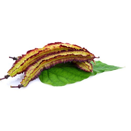紫翼豆種子~Winged Bean~在家種植，為生活灑下綠色的節奏