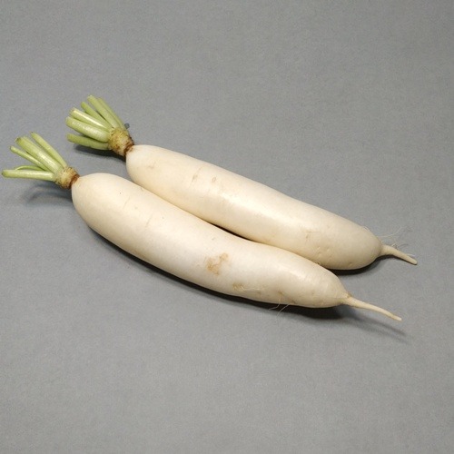 白玉蘿蔔種子~從泥土到餐桌，在家也能品味拔蘿蔔的樂趣