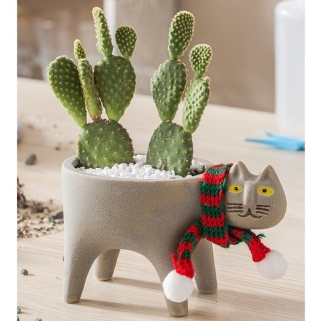 快速出貨 現貨 療癒 貓 花盆 花器 多肉植物盆栽 貓草種植 貓咪盆栽 陶瓷盆 情人節 卡通 生日禮物 交換禮物 仙人掌-細節圖4