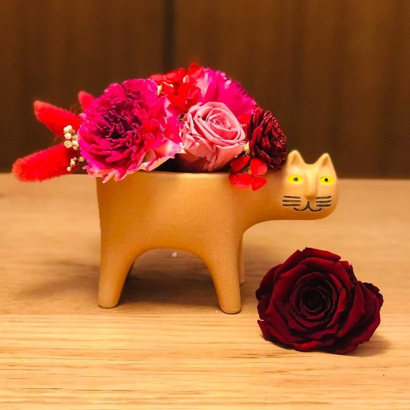 快速出貨 現貨 療癒 貓 花盆 花器 多肉植物盆栽 貓草種植 貓咪盆栽 陶瓷盆 情人節 卡通 生日禮物 交換禮物 仙人掌-細節圖5