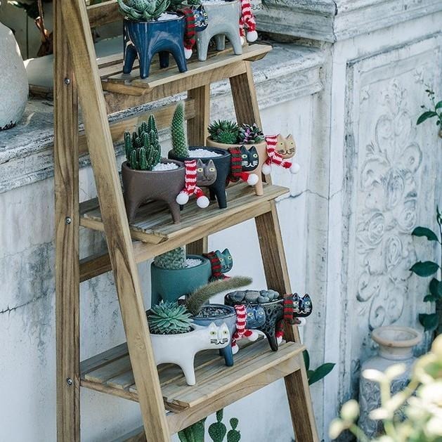 快速出貨 現貨 療癒 貓 花盆 花器 多肉植物盆栽 貓草種植 貓咪盆栽 陶瓷盆 情人節 卡通 生日禮物 交換禮物 仙人掌-細節圖9