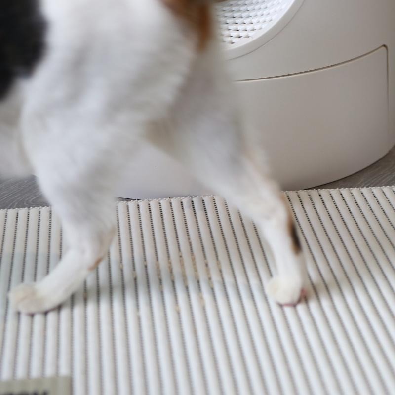 現貨 雙層口袋 貓砂墊 落砂墊 止滑墊 無毒  PER環保材質 台灣製造 外銷日本 袋口式 可機洗 腳踏墊 -白色-細節圖4