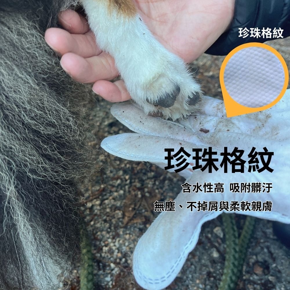 多包優惠 寵物清潔手套 免沖水 狗貓都適用 攜帶外出包 6入/包-細節圖3