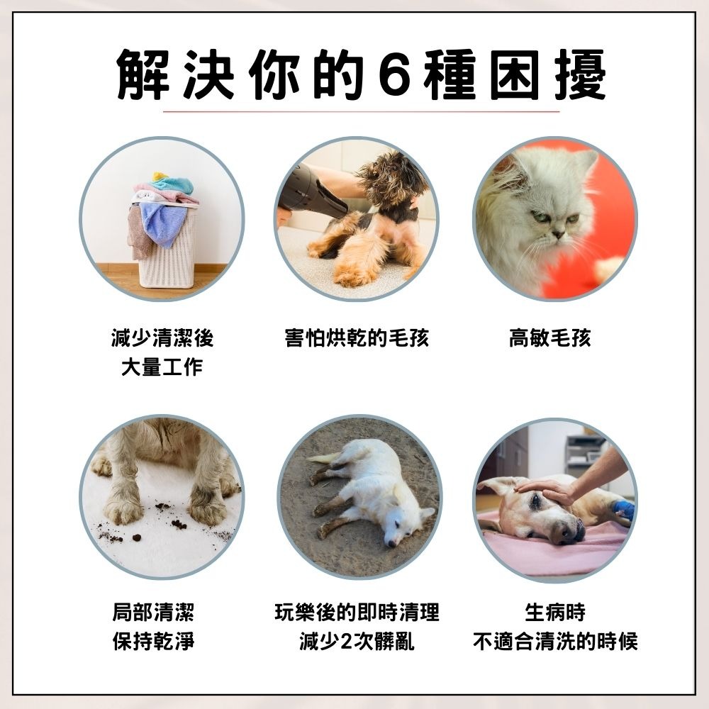 多包優惠 寵物清潔手套 免沖水 狗貓都適用 攜帶外出包 6入/包-細節圖4