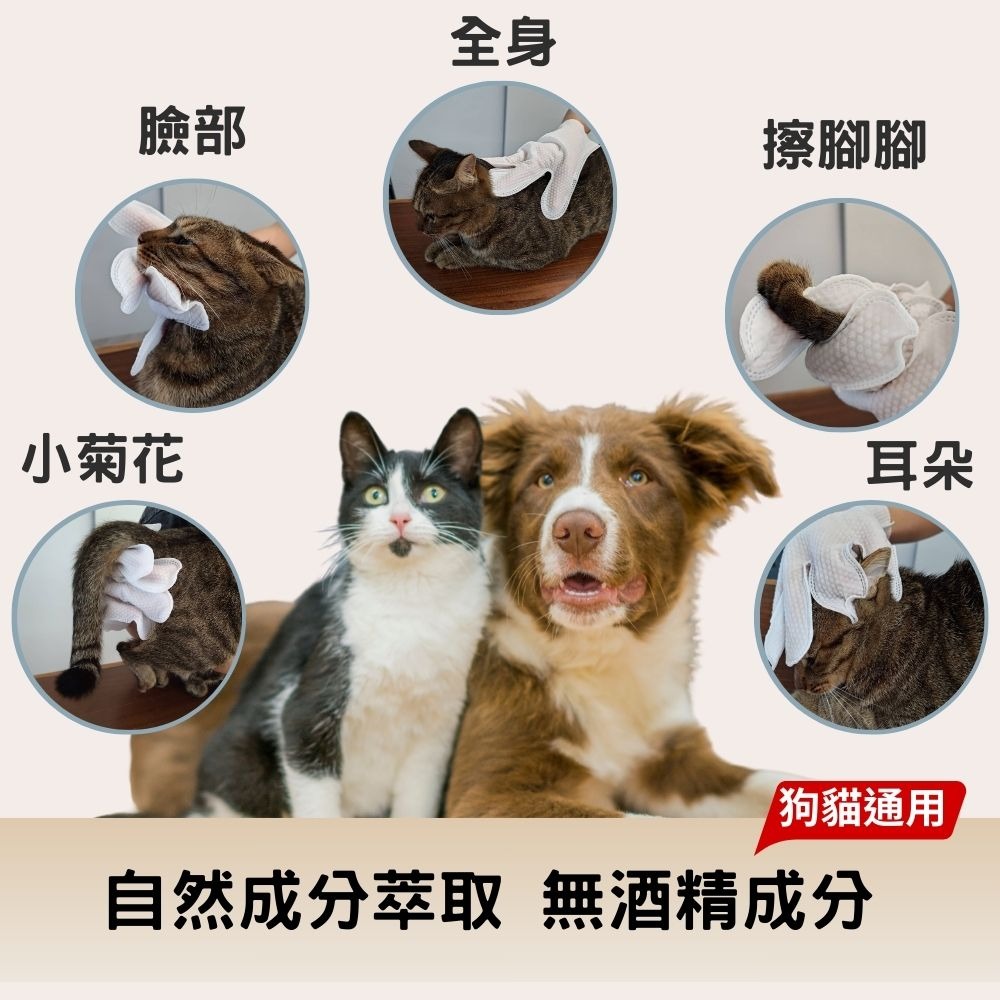 多包優惠 寵物清潔手套 免沖水 狗貓都適用 攜帶外出包 6入/包-細節圖5