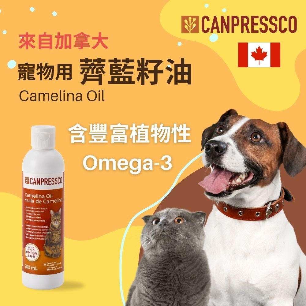 100%冷壓薺藍籽油 加拿大原裝進口 寵物用薺藍籽油 Camelina Oil 250ml-細節圖2