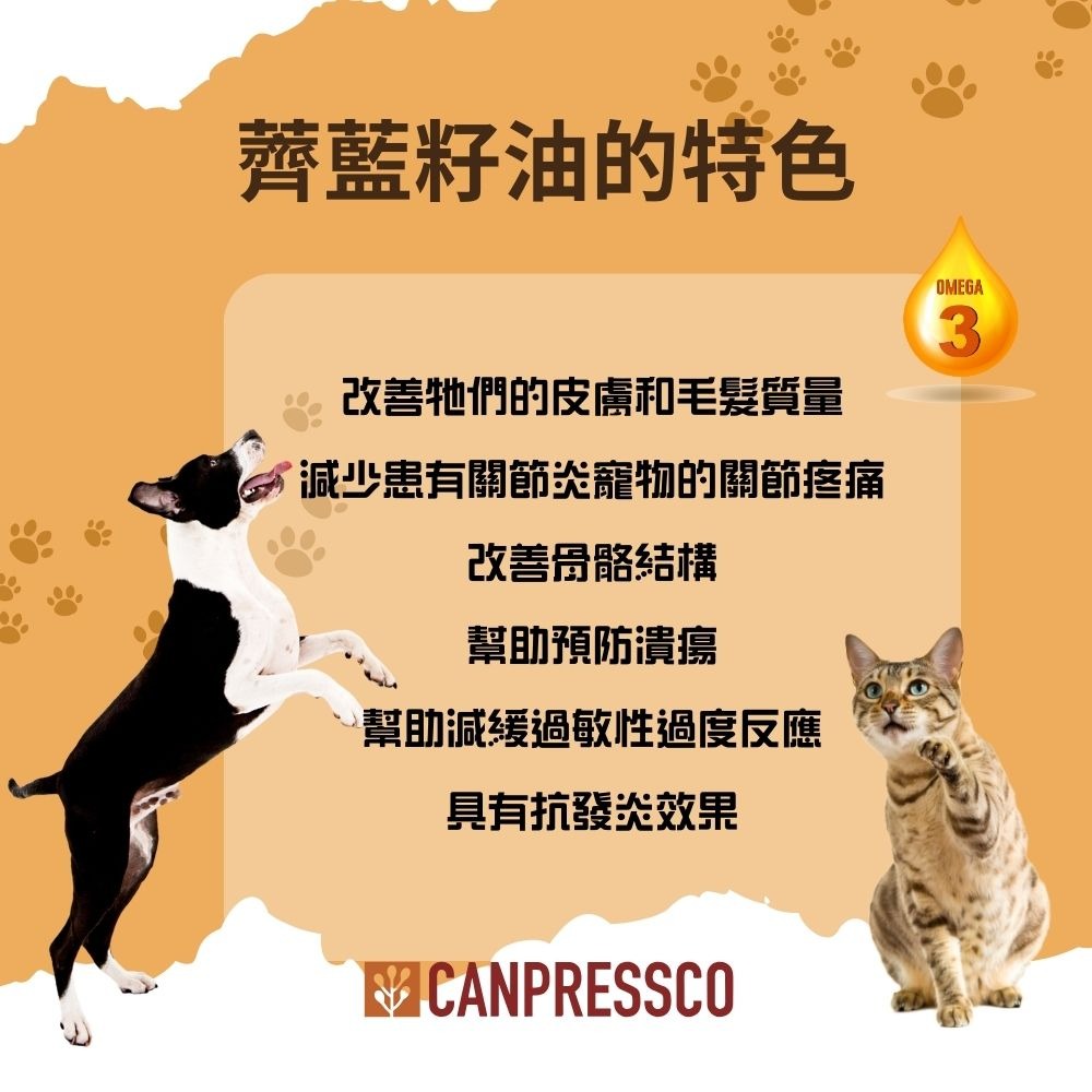 100%冷壓薺藍籽油 加拿大原裝進口 寵物用薺藍籽油 Camelina Oil 250ml-細節圖4