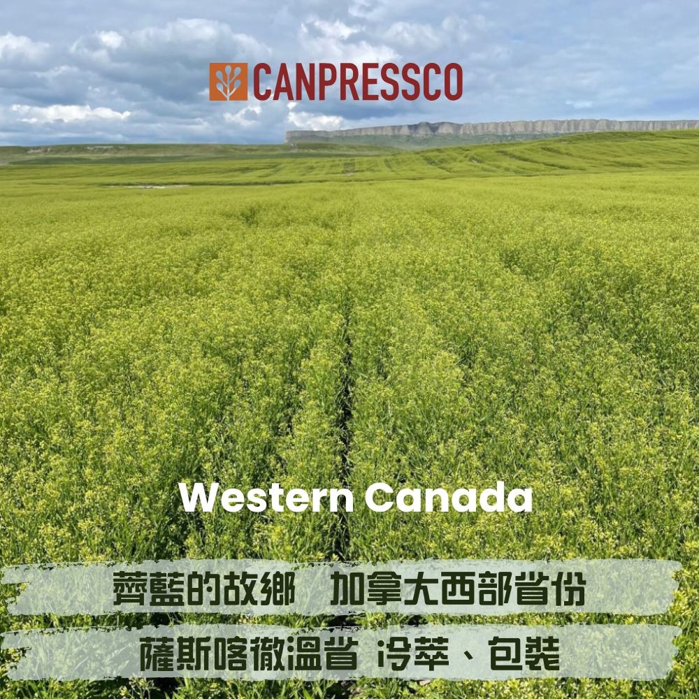 100%冷壓薺藍籽油 加拿大原裝進口 寵物用薺藍籽油 Camelina Oil 250ml-細節圖5