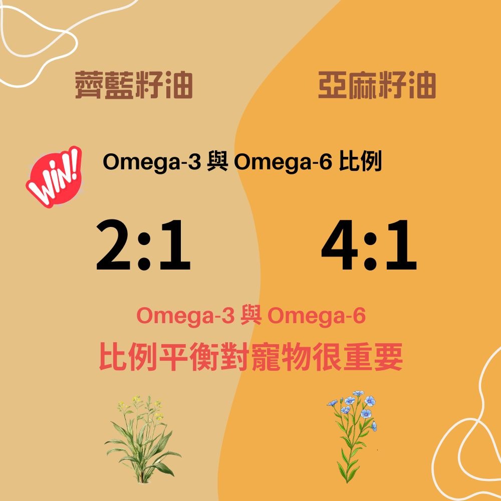 100%冷壓薺藍籽油 加拿大原裝進口 寵物用薺藍籽油 Camelina Oil 250ml-細節圖6