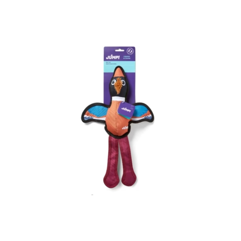 寵物玩具 鳥 鼠 發聲玩具 寵物玩具狗 加拿大JUMP寵物玩具系列-細節圖3