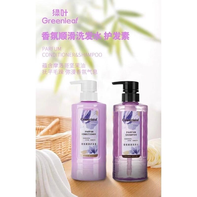 【綠葉】 愛生活 香氛順滑洗髮乳 護髮乳滋養柔順持久留香 去屑止癢洗髮液-細節圖3