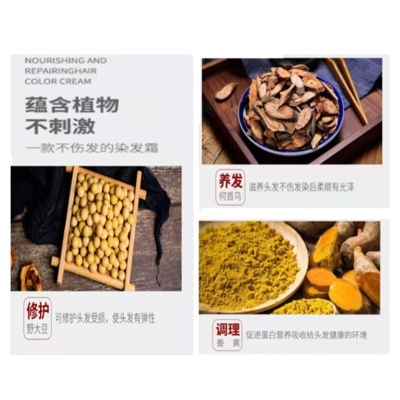 【免運】綠葉卡麗施多愛修護染髮霜天然植物配方不刺激一洗黑泡沫染髮膏劑 【24H寄出】-細節圖7