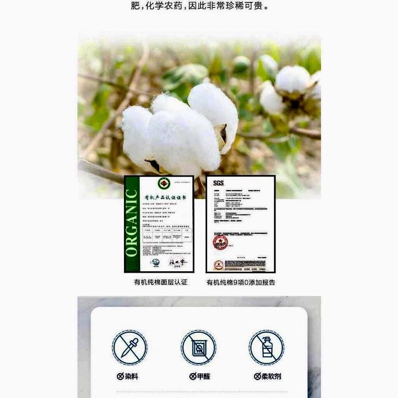 【綠葉】愛生活  棉柔夜用加長／4片／400mm有機純棉／衛生棉 【24H寄出】-細節圖6