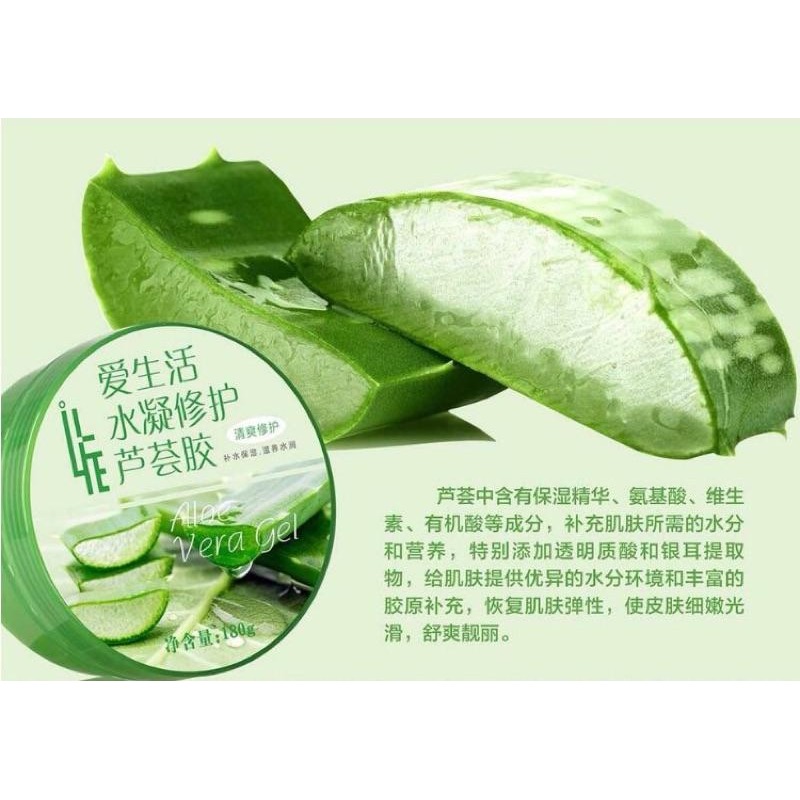 【綠葉 】 愛生活 水凝修護蘆薈凝膠180g-細節圖6