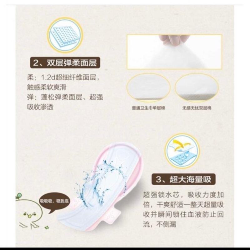 【綠葉】愛生活 YY芯 衛生棉 無感無憂棉柔 日用 夜用 夜用特長-細節圖4