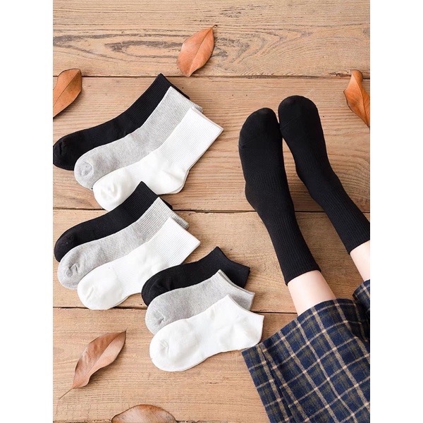 Beneddy棉質素色長襪/中襪/短襪（3色）-細節圖6