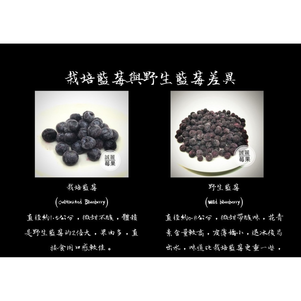 【誠麗莓果】IQF急速冷凍加拿大迷人的眼神野生藍莓 新鮮冷凍小顆藍莓 WILD BLUEBERRY-細節圖4