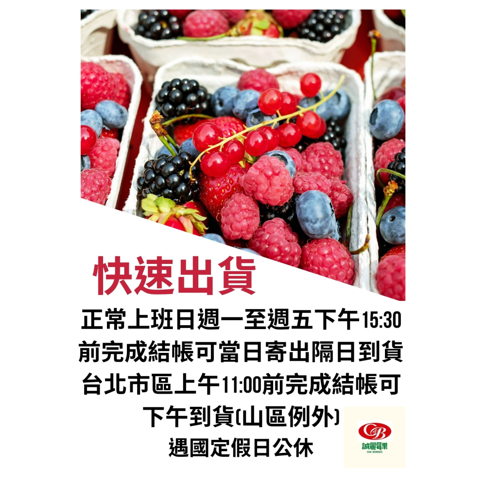 【誠麗莓果】急速冷凍埃及草莓  camarosa品種 卡麥羅莎-細節圖5