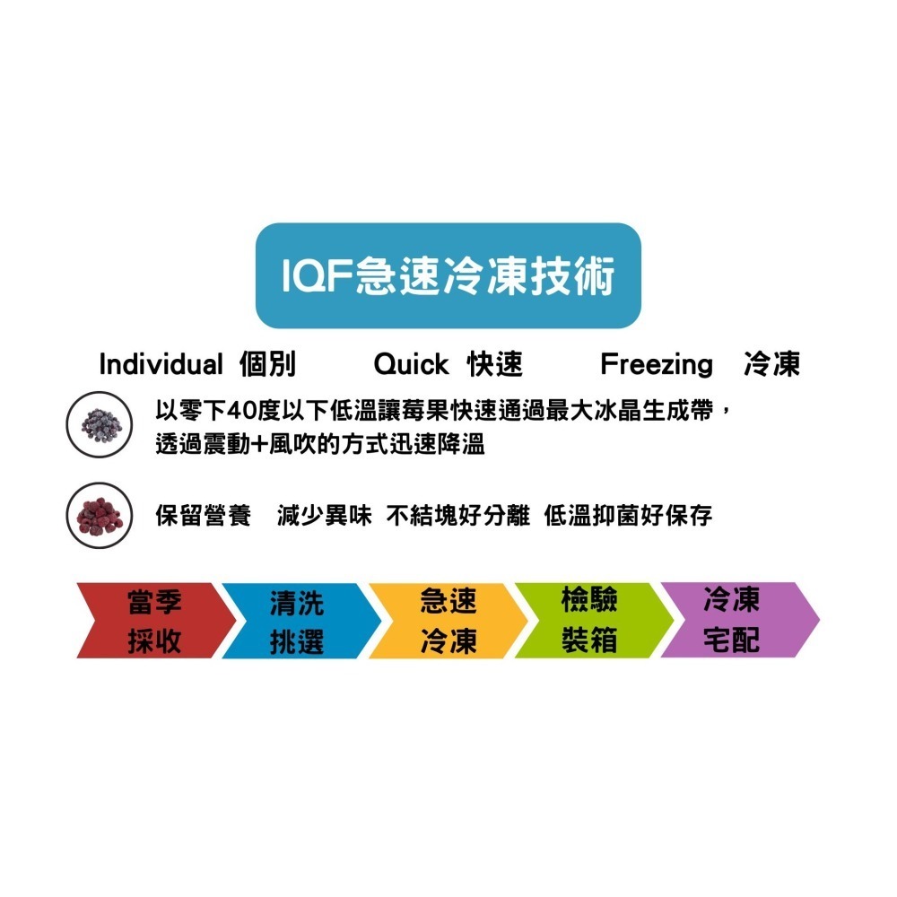 【誠麗莓果】IQF急速冷凍哈密瓜切塊（綠色）Honeydew Melon-細節圖3