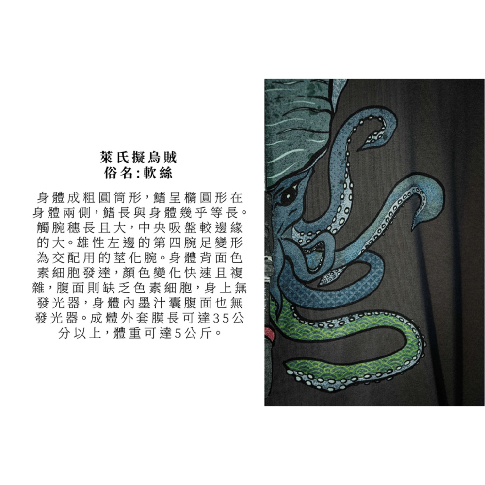 福利釣具 🎣 KALAS餌濡木染 短袖 T-Shirt-細節圖9
