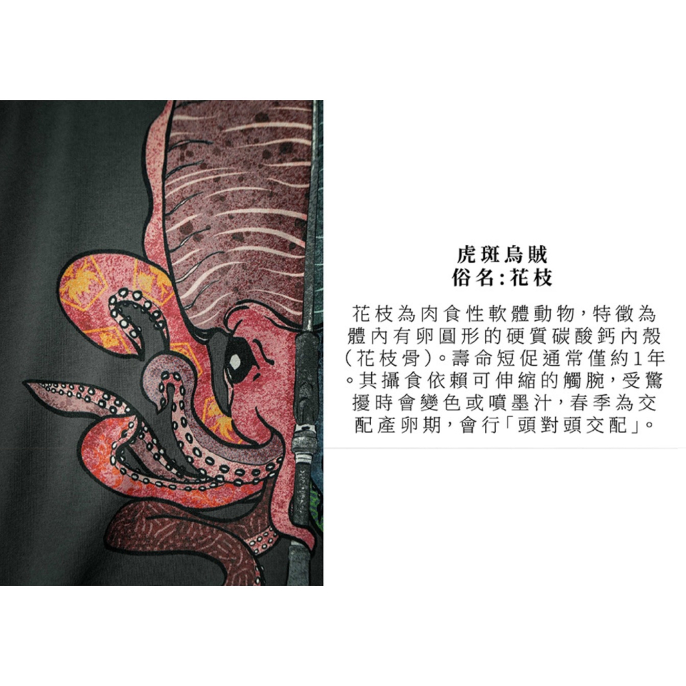 福利釣具 🎣 KALAS餌濡木染 短袖 T-Shirt-細節圖10