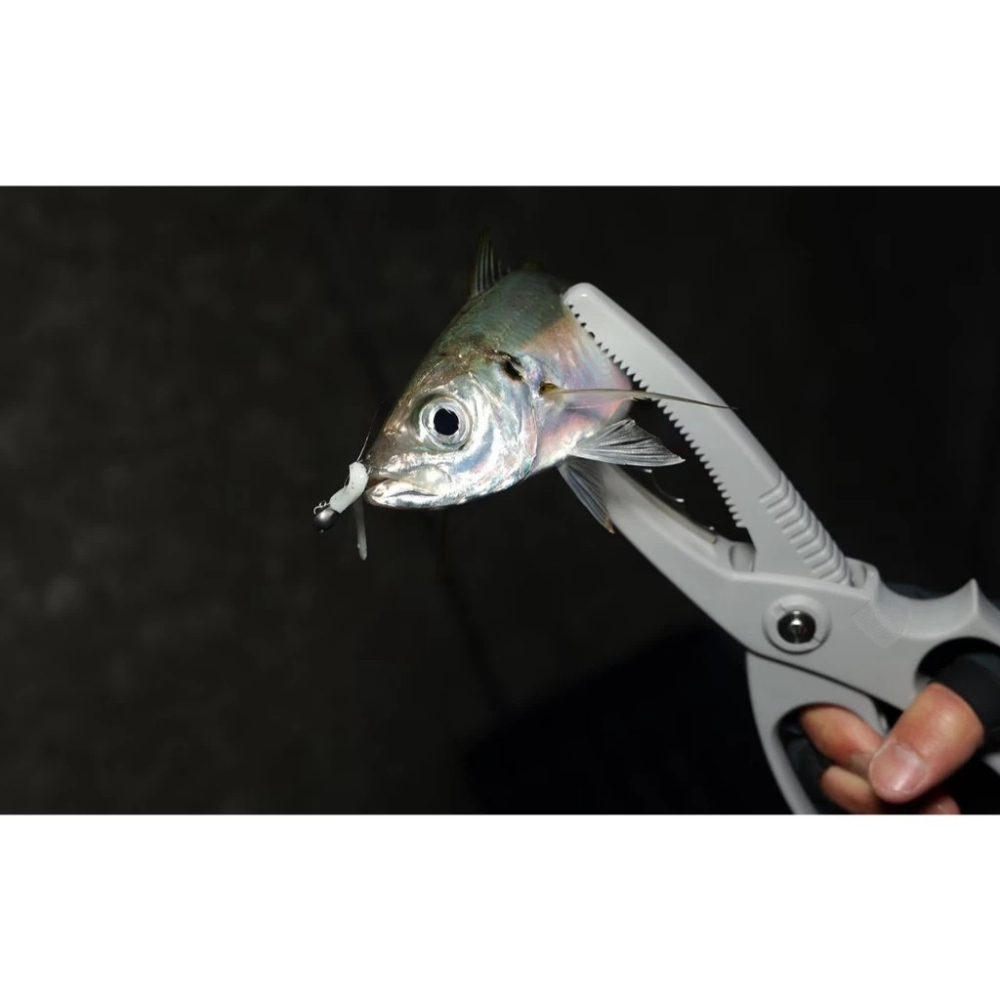 福利釣具2館 😊 SHIMANO CT-982R 黑色 夾魚鉗 魚夾 釣魚 釣魚夾-細節圖5