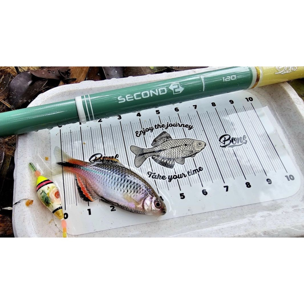 福利釣具 🎣 BONS 齊氏小物釣 極短竿 SECOND 120-細節圖3
