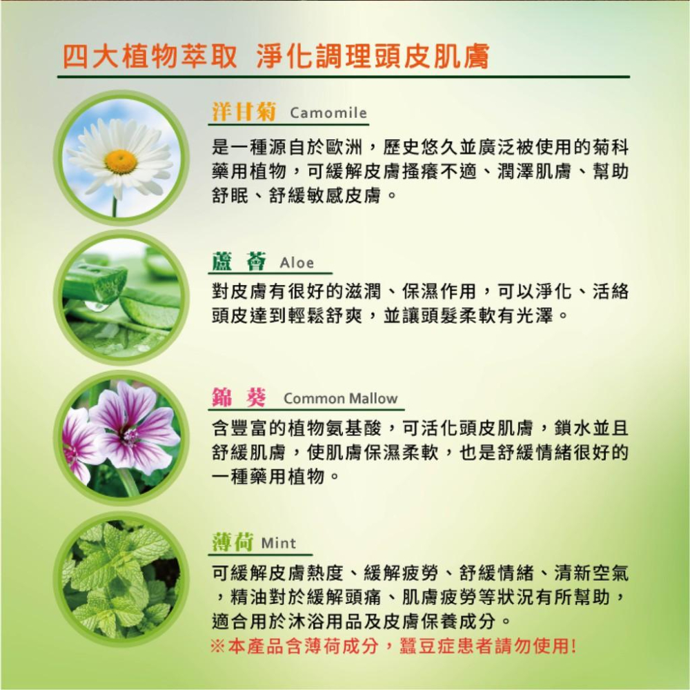 💦夏日必備AMIDA 頭皮 葉綠素 頭皮調理素 200ml /1000ml【SunQ】-細節圖7